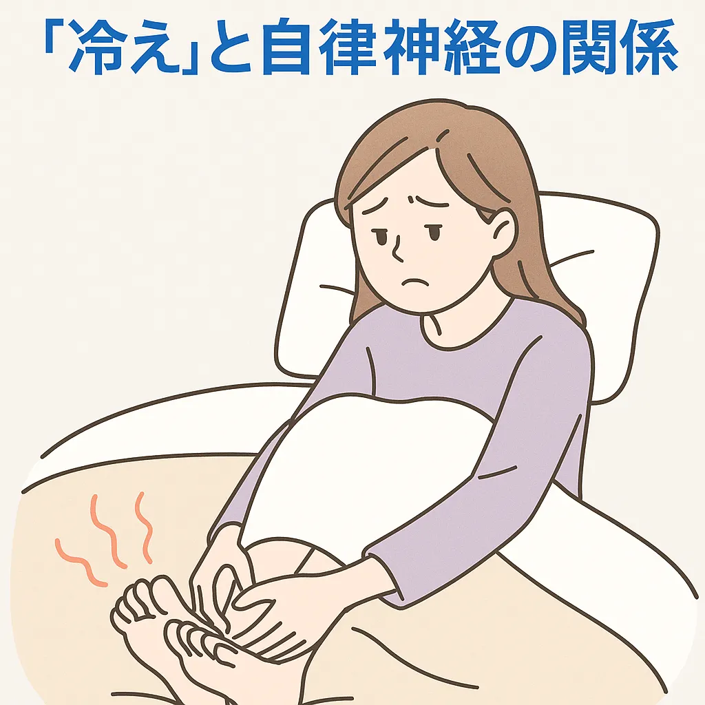 足先の冷えと自律神経の関係を説明する仙台市太白区とりうみ整体院